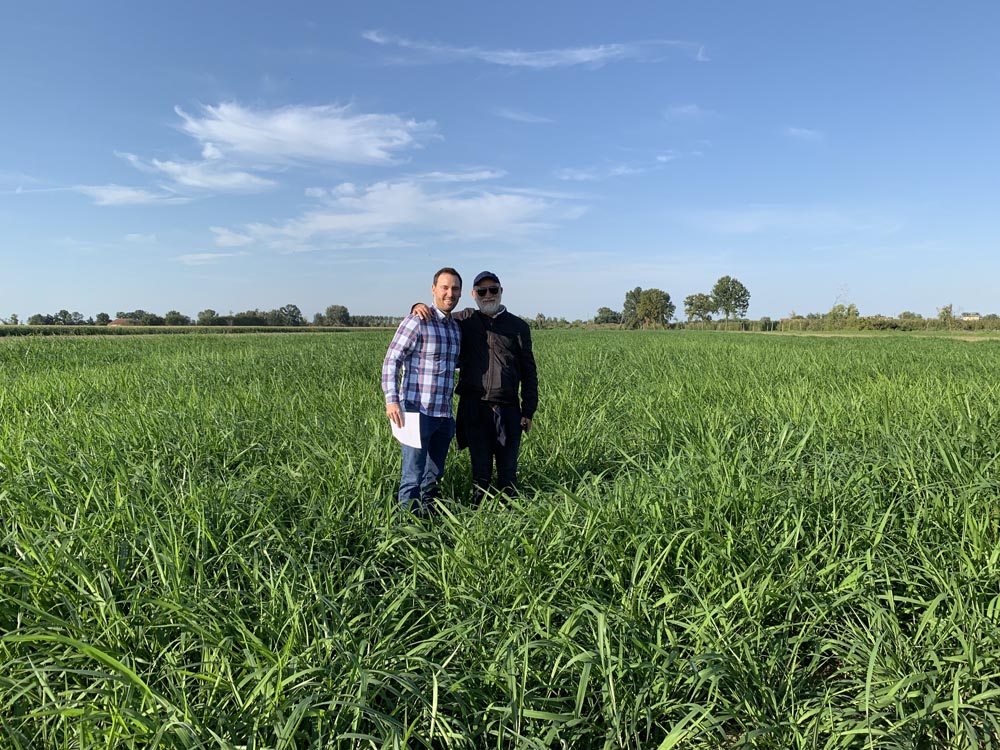 Eduardo y Aliosha Stern se unen en un próspero campo de forraje tropical