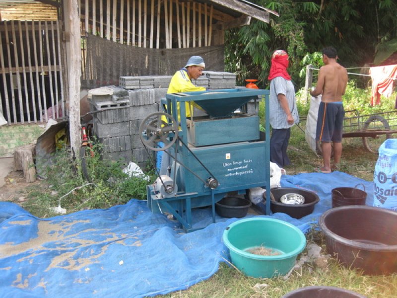 Cleaning Tanzania seed