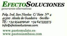 Efecto Soluciones