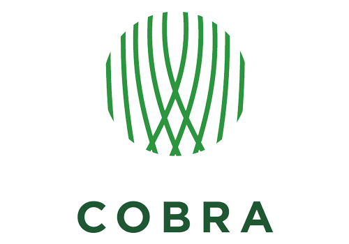 Cobra Logo