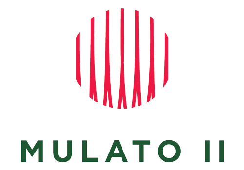 Logo Mulato II