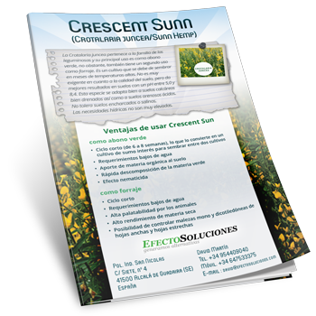 Crescent Sunn. Crotalaria Juncea (Sunn Hemp) Folleto Comercial - Tropical Seeds