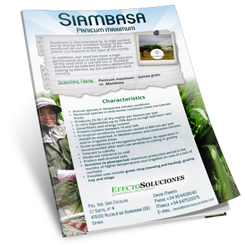 Siambaza. Technical & Commercial Brochure. Tropical Seeds.