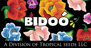 Logo-BIDOO-web