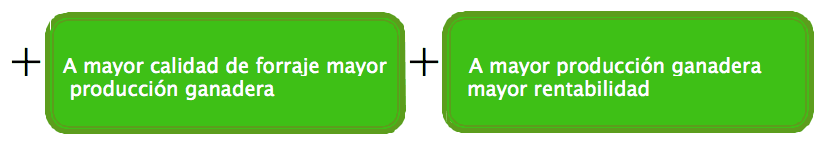 mayor_rentabilidad