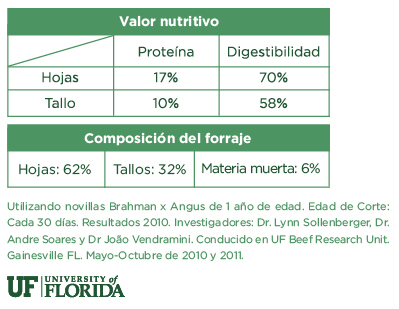Tabla Valor Nutritivo - Pasto Cayman. Tropical Seeds