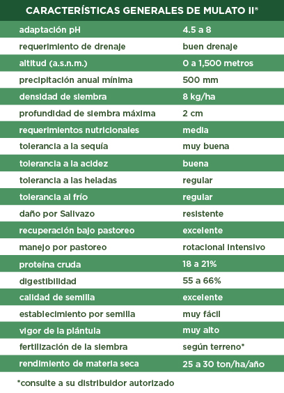 Tabla de características pasto Mulato II - Tropical Seeds