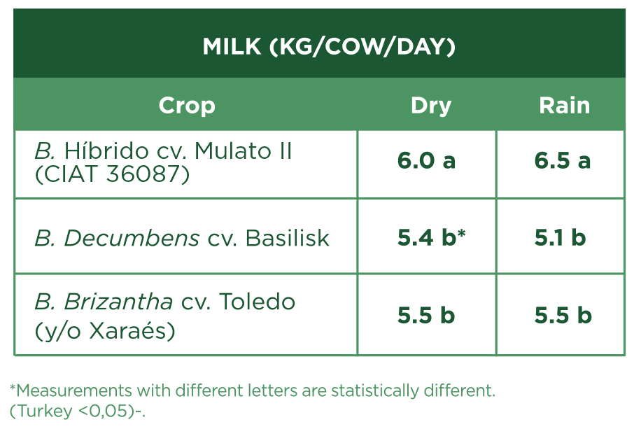 Milk Production Table - Mulato II - Tropical Seeds