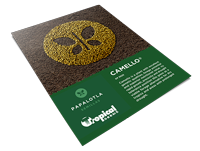 Camello Technical Brochure. Tropical Seeds.