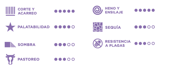 Características de SIAMBAZA®